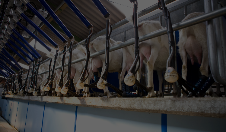Pièces détachées pour salle de traite DeLaval
